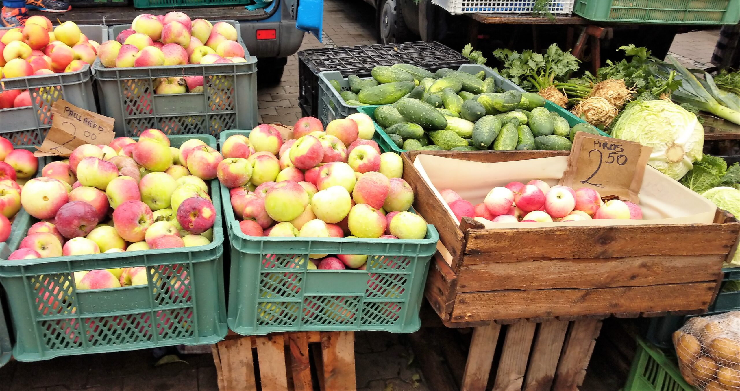 Dżersej, Amers, Chaganta, Lepotika, Hanita – czy to nazwy egzotycznych kurortów? ;-)