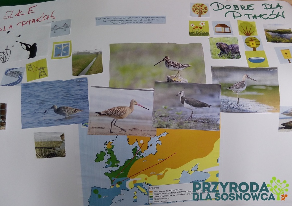 Dzieci chcą pomóc ptakom w bezpiecznej wędrówce