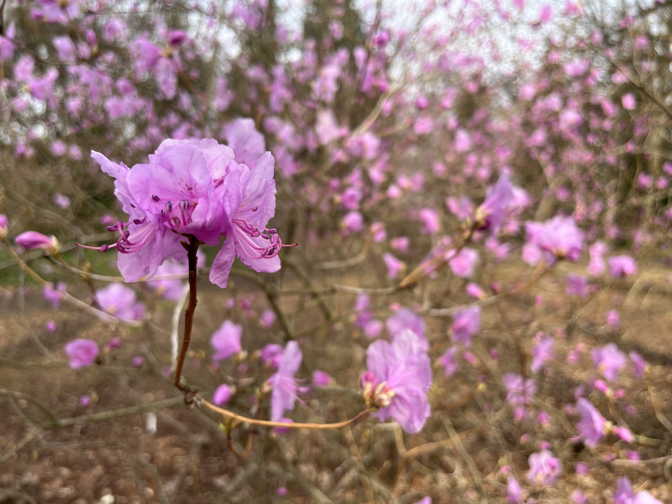 Subiektywny (i alfabetyczny) ranking najdziwniejszych fobii